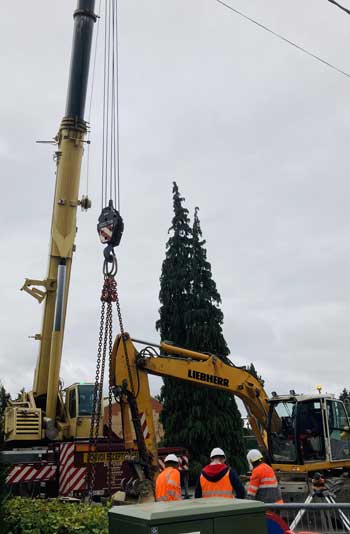 Location grue de levage